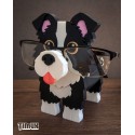 Border Collie Gözlük Tutacağı