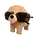 Golden Retriever Gözlük Tutacağı