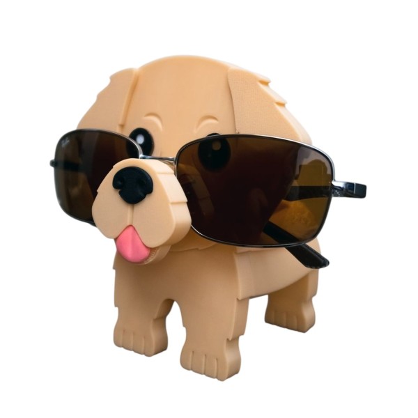 Golden Retriever Gözlük Tutacağı