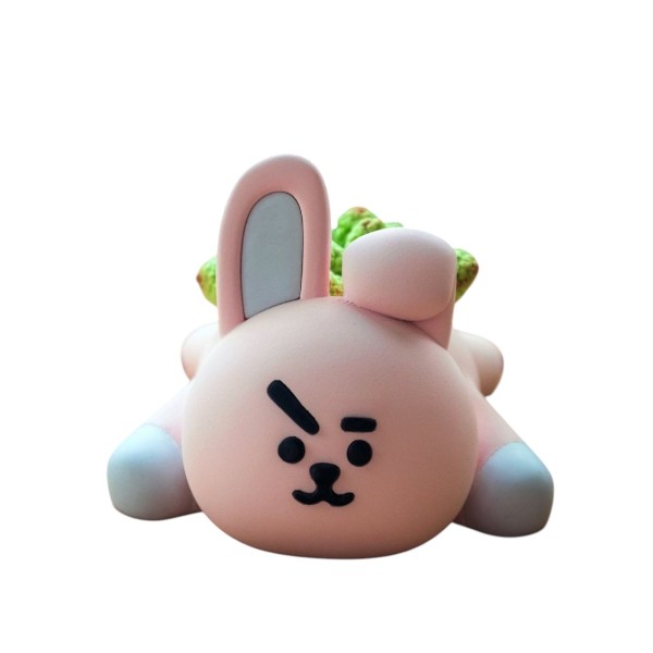 Cooky 