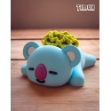 Koya 