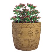 Chachapoyas Antik...