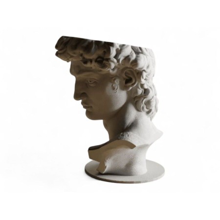 David Michelangelo...