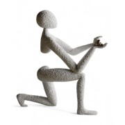 Nobody S Proposal...