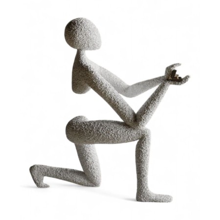 Nobody S Proposal...