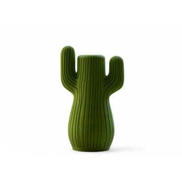 Cactus...