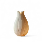 Tulip Vazo...