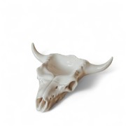 Cow Skull...
