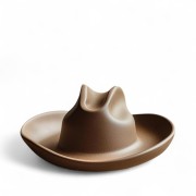 Cowboy Hat...
