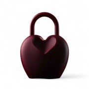 Heart Lock ...