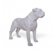 American Bulldog ...