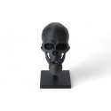 Black Skull Sculpture