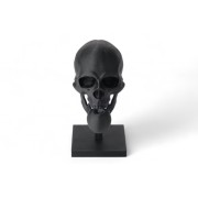Black Skull Sculptur...