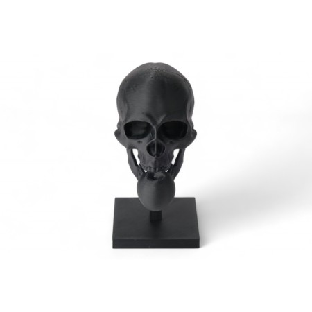 Black Skull Sculptur...