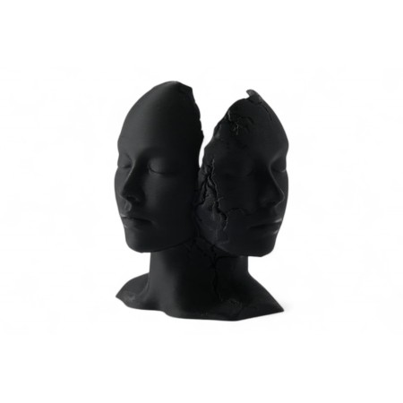 Fragmented Duality A...