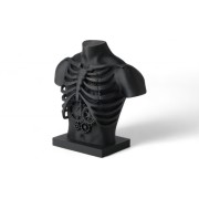 Steampunk Ribcage Bu...