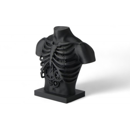 Steampunk Ribcage Bu...